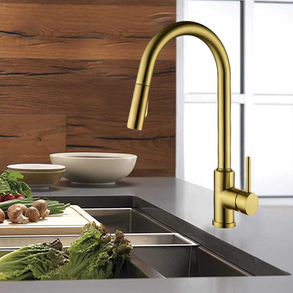 Kitchen Faucet With Pull Out Sprayer ...