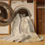 Tapis beige lavable à la machine-20070682