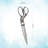 Vintiquewise Herb Shears