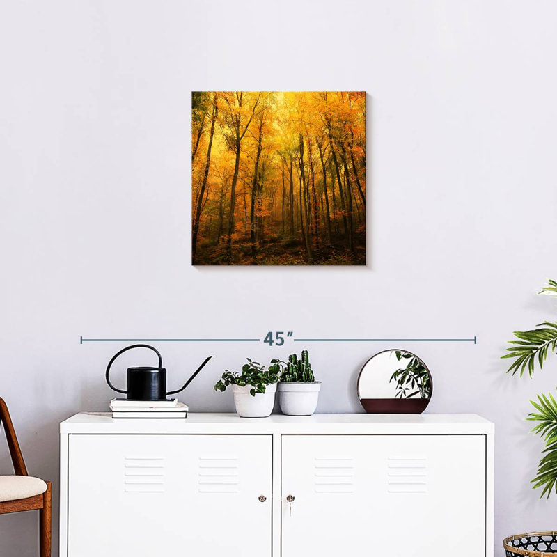 Alvord Forest In Autumn
