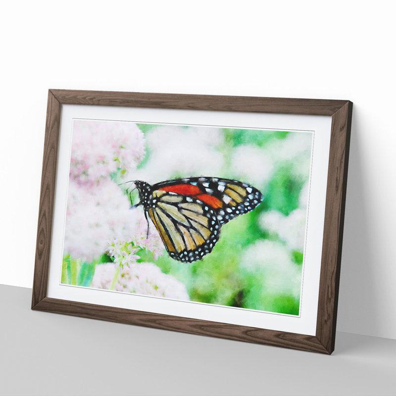 Monarch Butterfly - Picture Frame Graphic Art, 48cm H x 65cm W x 2cm D, Walnut