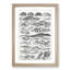 Study of Reptiles by Oliver Goldsmith - Framed Print-55727482-55727485