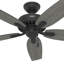 Ventilateur de plafond d'intérieur traditionnel à 5 pales 52 po Newsome-86753892