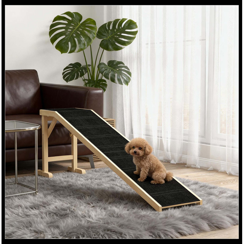 Rampe pratique pour animaux, rampe pour chien pour votre maison