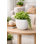 Pot Planter