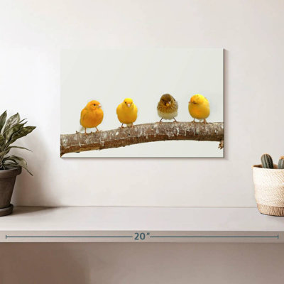 Four Canary Birds