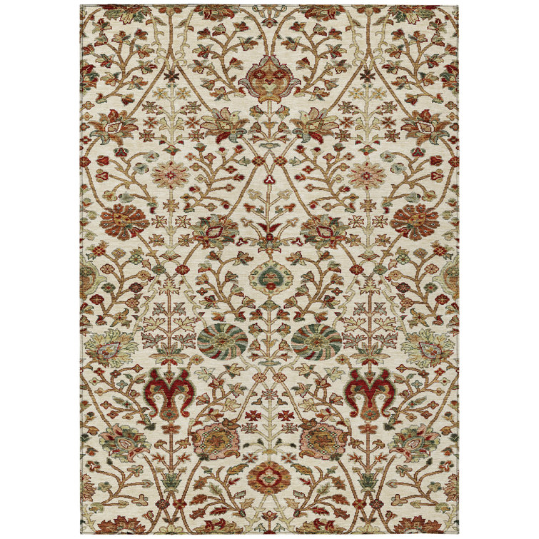 Chayil Area Rug with Non-Slip Backing