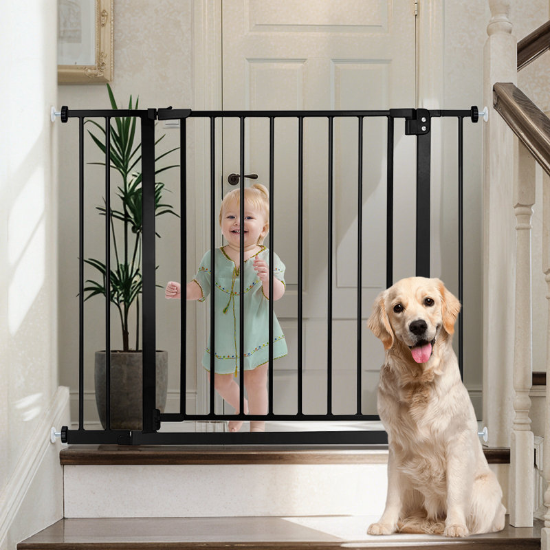Barrière 30 "de haut pour animaux de compagnie, barrière pour bébés, Noir, H 30 po x l 40,5 po x P 2 po