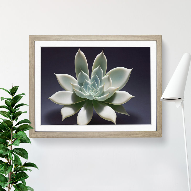 Exquisite Succulent Plant 1 Piece Single Picture Frame Wall Art, 46cm H x 64cm W x 2cm D, Oak