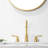 Widespread 2-handle Bathroom Faucet with Drain Assembly-86794416
