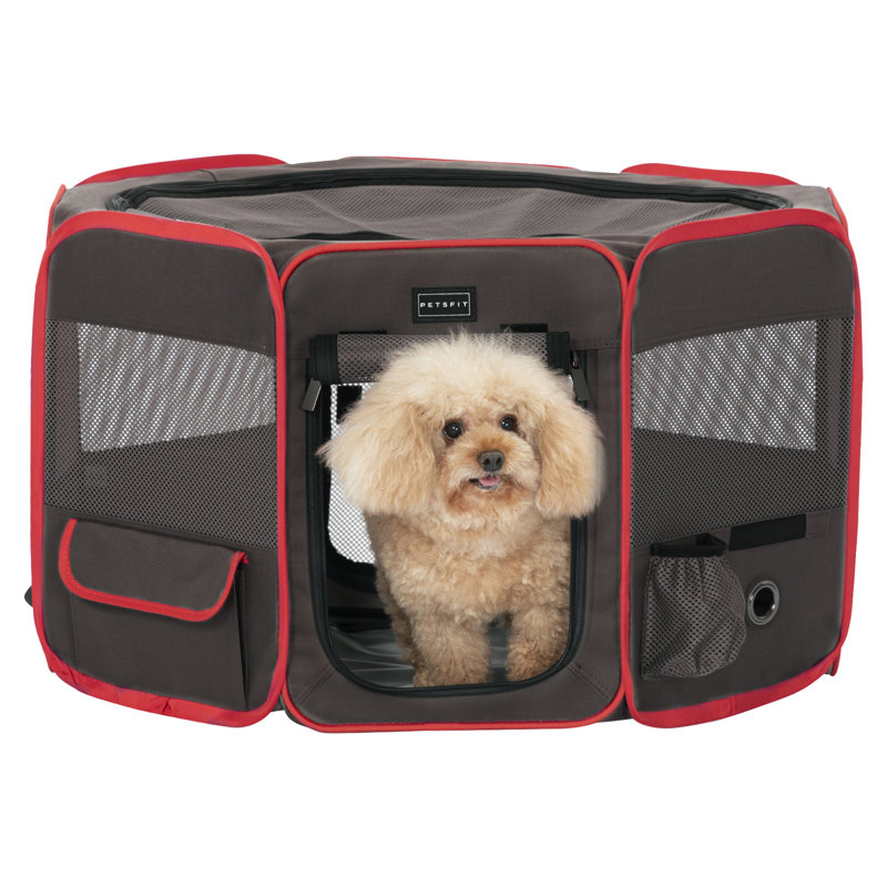 Caisse pour animaux amovible, Moyen (H 21 po x l 33 po x P 33 po), Gris / rouge