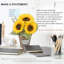 10 plantes