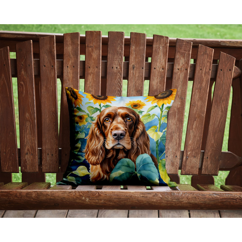 Other/No Pattern Outdoor Throw Pillow, 14" H x 14" W