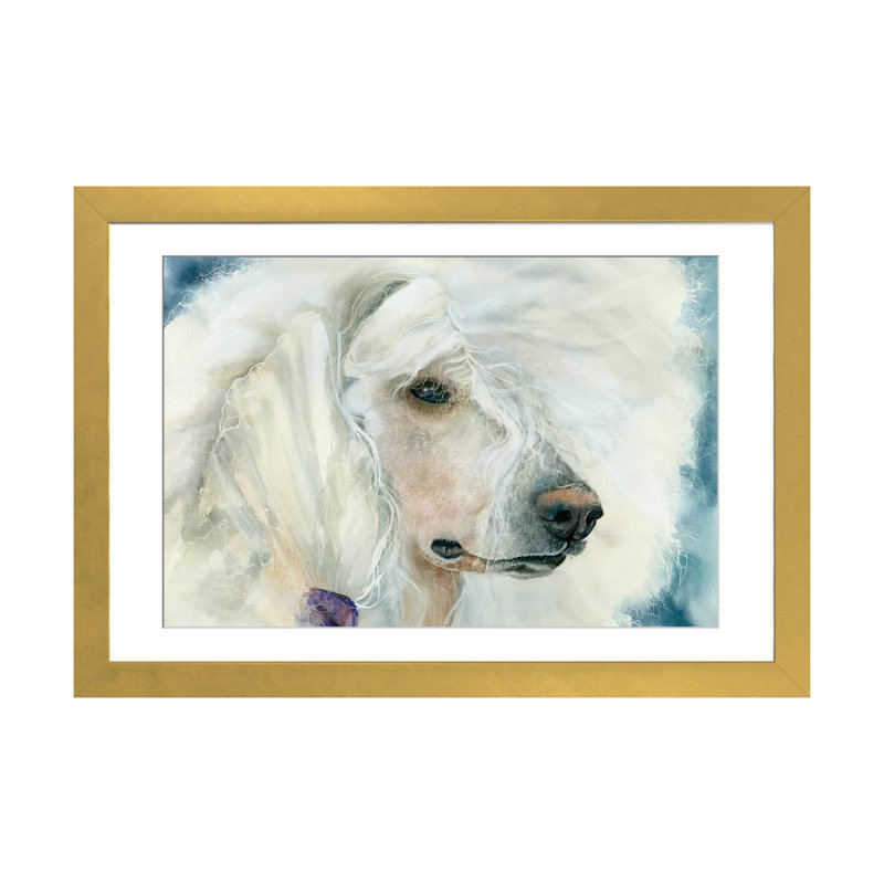 Continental chic - Caniche blanc_1PFA, Cadre doré, H 16 po x l 24 po