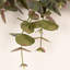 Couronne de porte d'eucalyptus 24 po