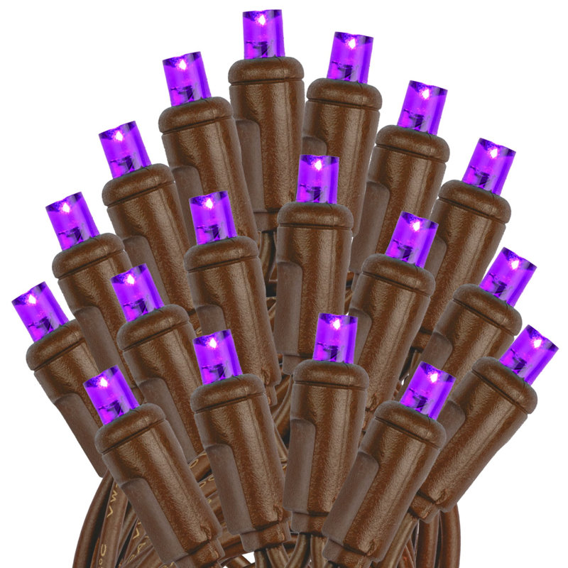 50 guirlandes lumineuses à DEL, Mauve