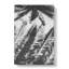 Palm Tree Shadows - Wrapped Canvas-55366777