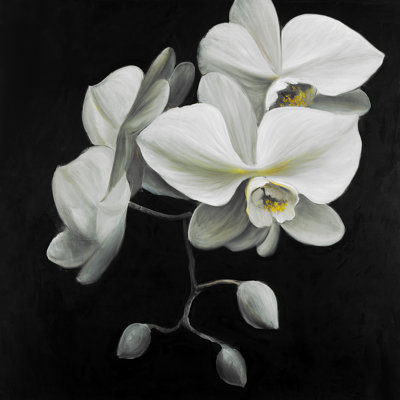 " Orchids "