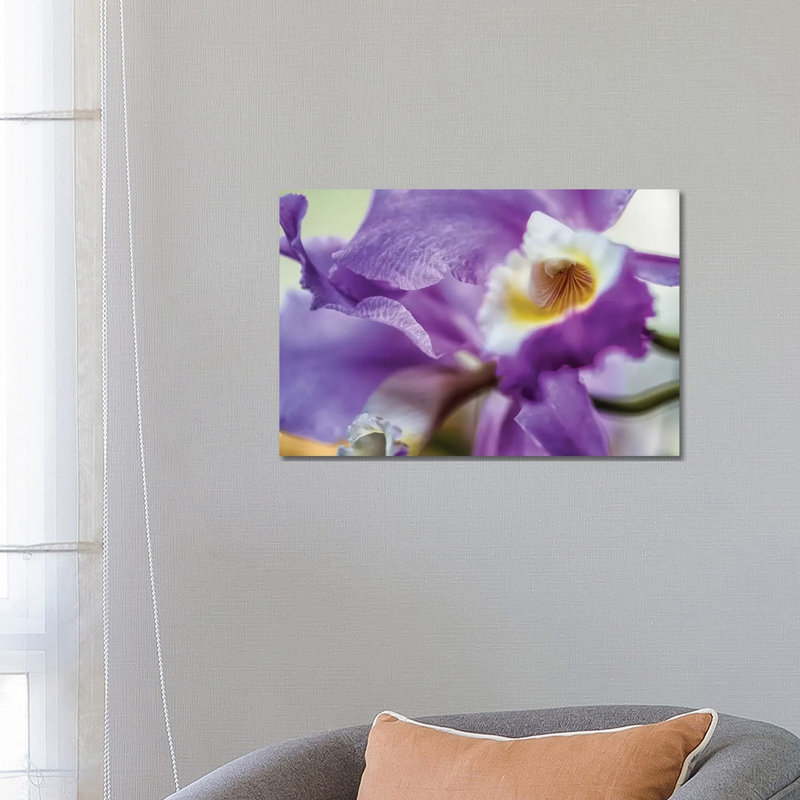 Orchid Purple Iris Flower - Wrapped Canvas Print, 66.04 cm H x 45.72 cm W