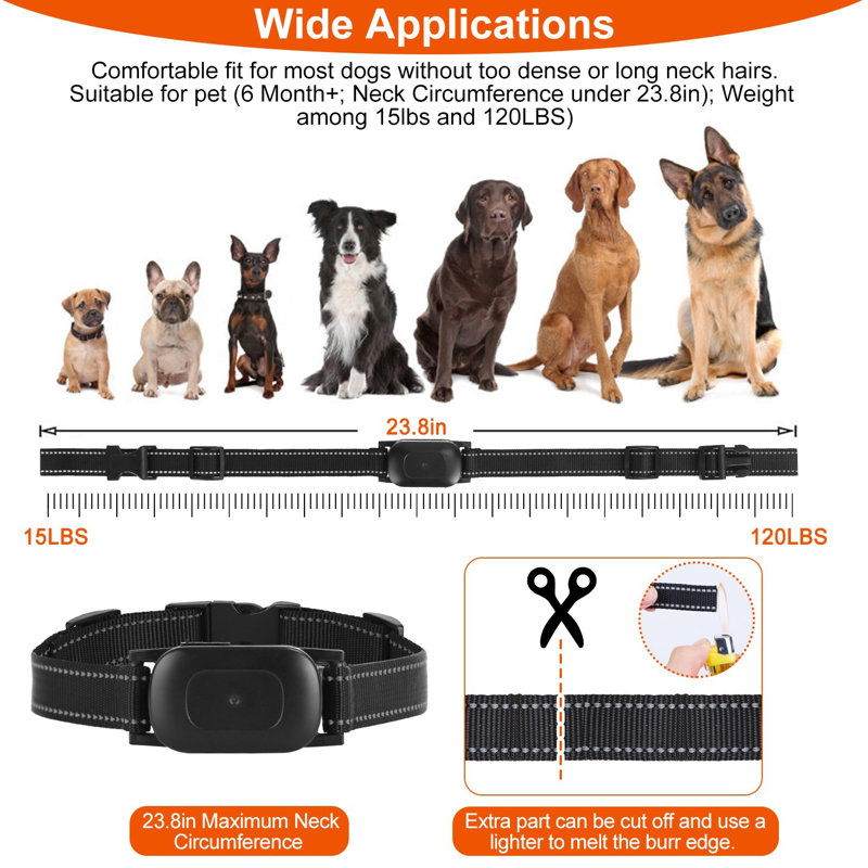 Dog Training Collar
