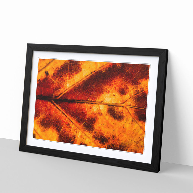 Leaf in the Autumn - Picture Frame Graphic Art Print, Black Framed, 33cm H x 45cm W x 2cm D
