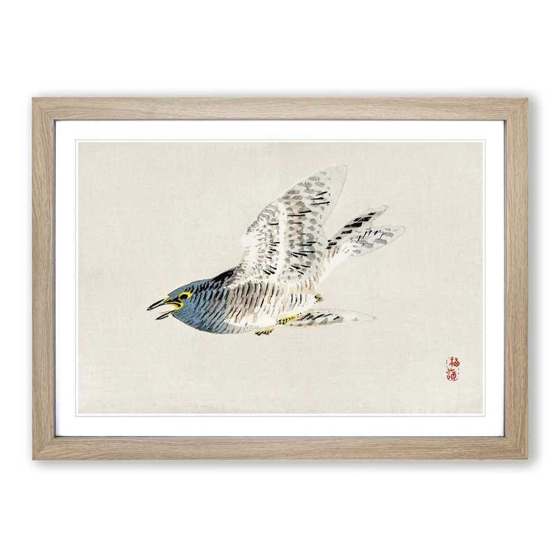 Herring Gull by Kono Baireir - Picture Frame Painting Print, 62cm H x 87cm W x 2cm D, Oak Framed