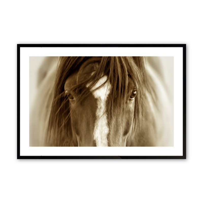 Cullman Majestic Wonder, encadré sur papier par Lisa Dearing, photographie, Noir satiné, H 16 po x l 20 po x P 1,25 po