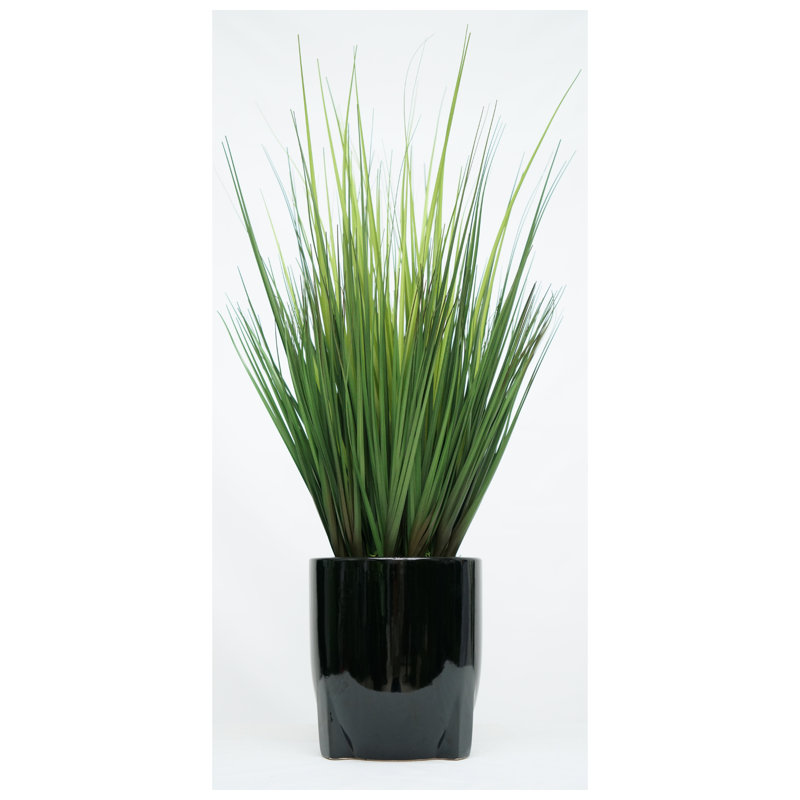 30 po Herbe en trépied en céramique lisse noir brillant