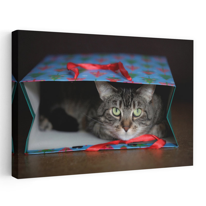 Curious Cat In Gift Bag Contemporary Cat Architecture Wall Art Print, 101.6cm H x 152.4cm W