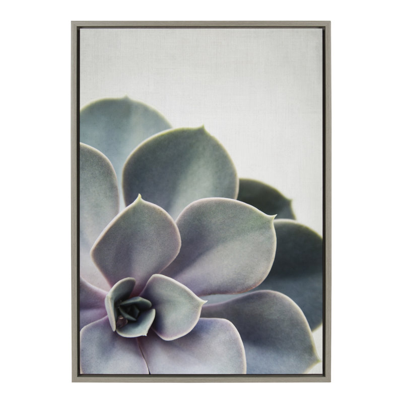 «Succulent 5» par Emiko et Mark Franzen, reproduction d'art sur toile encadrée, H 33 po x l 23 po x P 1,63 po, Cadre gris