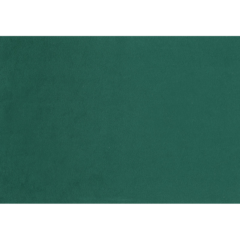 Ensemble de chaises d'appoint rembourrées 2 pièces, Vert
