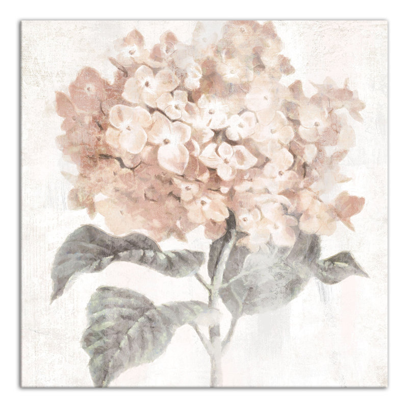 Hydrangée rosée sur toile, H 16 po x l 16 po x P 1,25 po