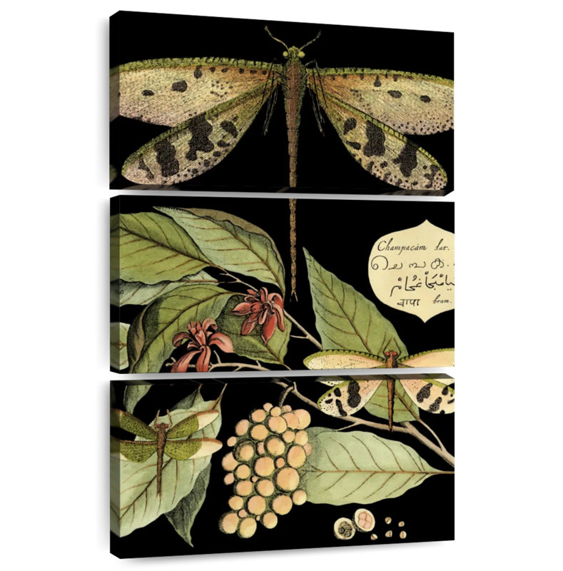 Whimsical Dragonfly On Black I