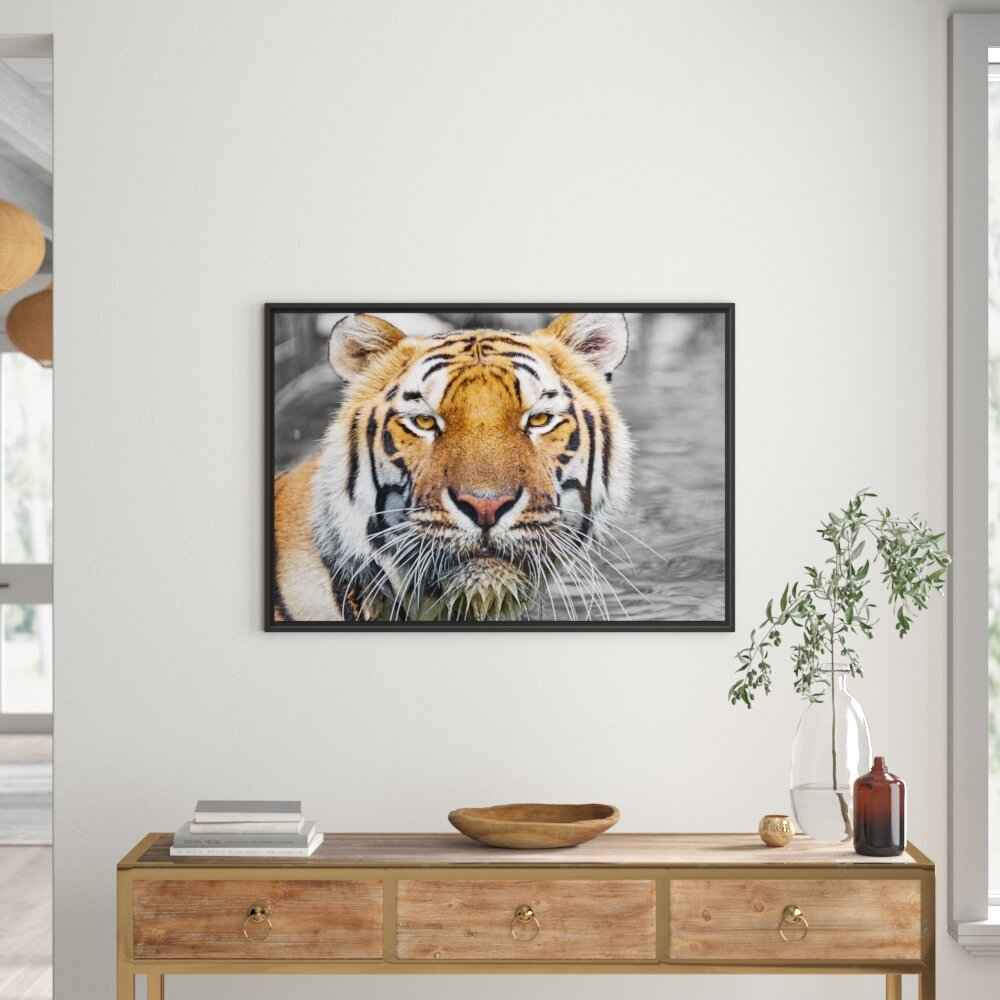 Gerahmtes Wandbild majestätischer TigerWasser