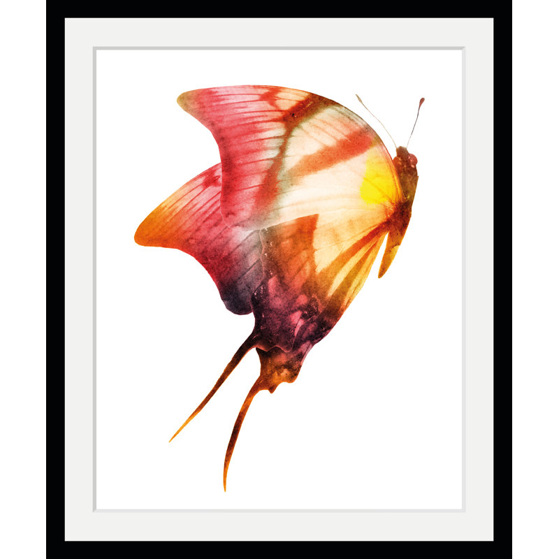 Butterfly - Single Picture Frame Print, 60 cm H x 50 cm W