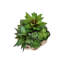 Plante artificielle