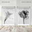 Peeking Flowers Set Set by Oliver Gal-702774615-702774600