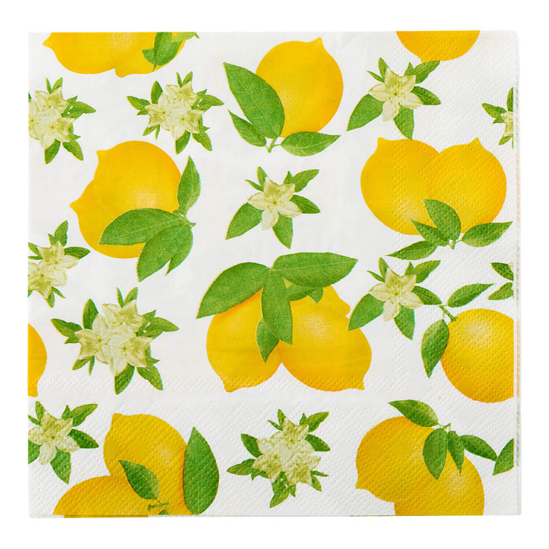 Disposable Paper Napkins
