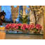 Hydrangea Arrangement in Planter-1379703028