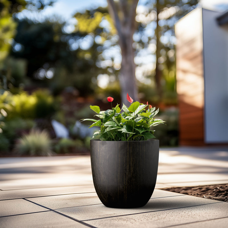 Larney Handmade Pot Planter, 11.81" H x 13.78" W x 13.78" D, Bronzed Black