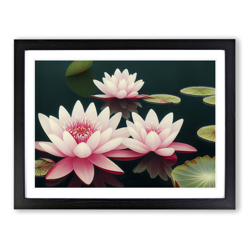 Electrifying Water Lily Flowers - Single Picture Frame Print, 46cm H x 64cm W x 2cm D, Black 