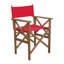 Folding Director Chair