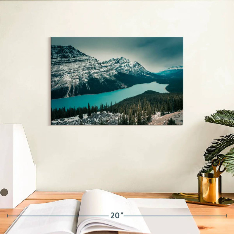 Alvord Peyto Lake, H 8 po x l 12 po