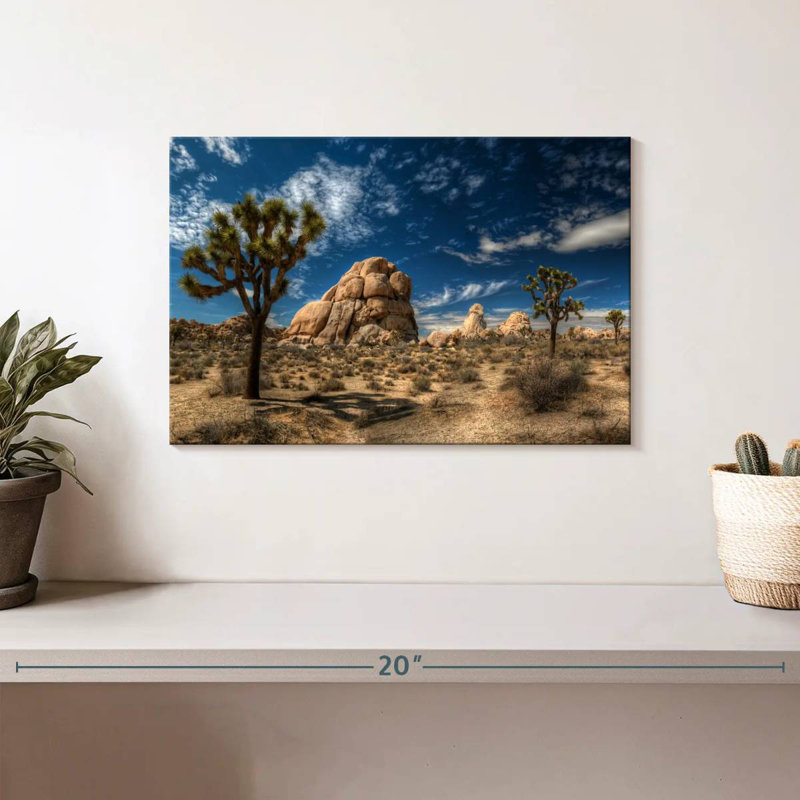 Alvord Joshua Tree Lone Rock Formation, H 8 po x l 12 po