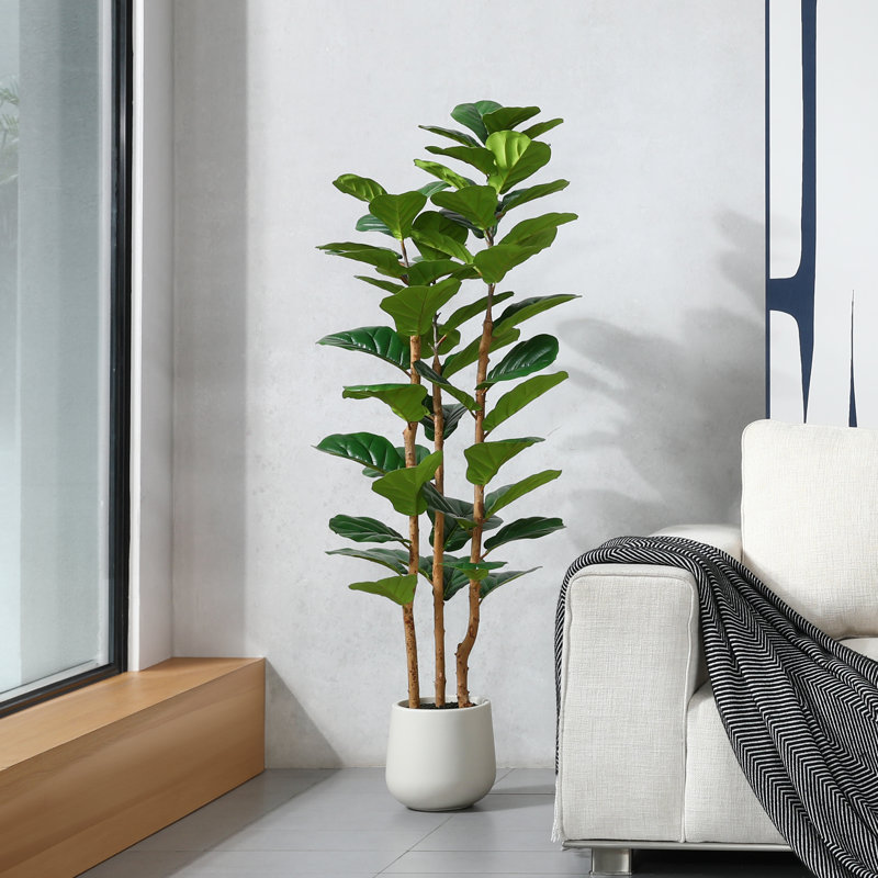 Adcock  Artificial Fiddle Leaf Fig Tree with Realistic Leaves and Natural Trunk, Potted Tree, 60" H x 20" W x 20" D