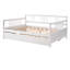 Lit de jour pleine grandeur avec lit gigogne simple, fabrication en bois de qualité supérieure pour la durabilité et le confort, parfait pour les intérieurs modernes et classiques.-868461823