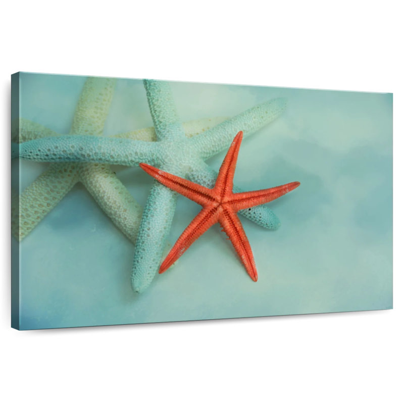 Brampt Ocean Treasures, H 30 po x l 45 po
