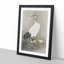 Crane & Chicks by Ohara Koson - Picture Frame Painting Print-55510365-55510366