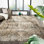 Lydian Area Rug in Earth Tones