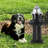 Black Hydrant
